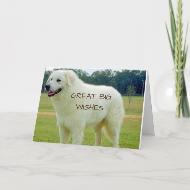 CARTE GRANDS "GRANDS VŒUX" POUR VOUS SUR "ANNIVERSAIRE" (Devant)