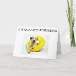 CARTE GRANDSON IT IS YOUR BIRTHDAY<br><div class="desc">As part of a line of this card-this one to me is going to be such FUN to send to YOUR GRANDSON and FUN for Him to Receive :)</div>