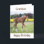 CARTE *GRANDSON* VOTRE ANNIVERSAIRE EST UN JOUR PARTICUL<br><div class="desc">MERCI D'AVOIR ARRÊTÉ PAR 1 DE MES 8 MAGASINS !</div>
