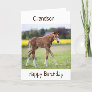 CARTE *GRANDSON* VOTRE ANNIVERSAIRE EST UN JOUR PARTICUL
