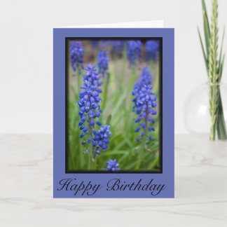 Carte Grape Hyacinth Joyeux anniversaire