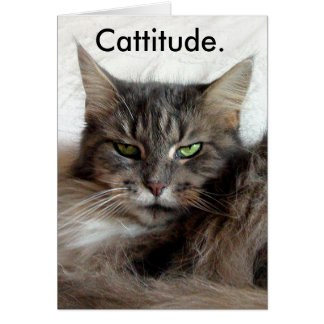 Carte graphique