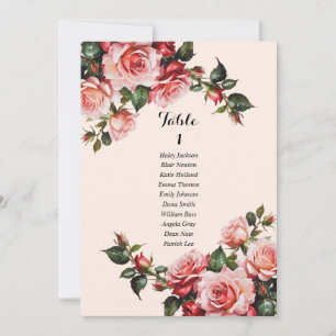 Carte graphique de sièges rose et rouge de jolies