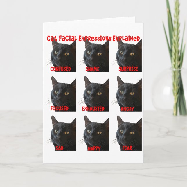 Carte Graphique des expressions faciales de chat expliqu (Devant)
