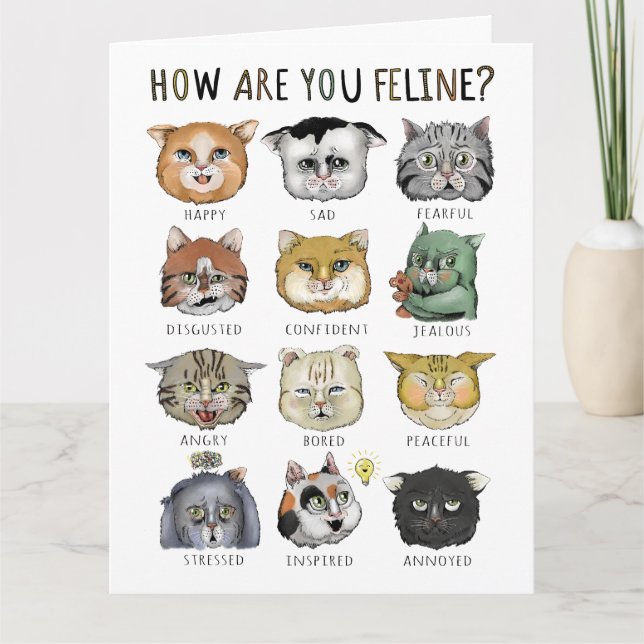 Carte Graphique des Humeurs Drôles de Chat Comment allez (Devant)