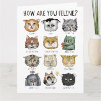 Graphique des Humeurs Drôles de Chat Comment allez