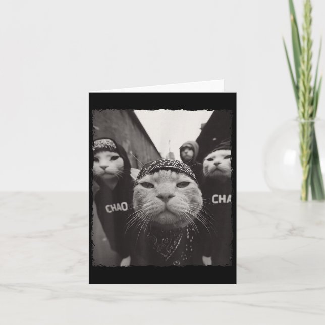 Carte Graphique drôle de chat gangster drôle  (Devant)