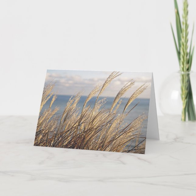 Carte Grasses (Devant)