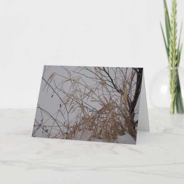 Carte grasses de Snow (Devant)