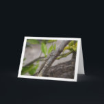 Carte Grasshopper égyptien à l'arbre<br><div class="desc">Un sautereau égyptien dans une carte de voeux arborée. Vous pouvez facilement customiser ce produit gratuitement si vous souhaitez ajouter du libellé ou changer la couleur du arrière - plan.</div>