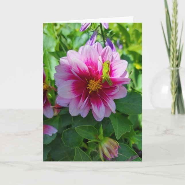 Carte Grasshopper sur Dahlia Flower (Devant)