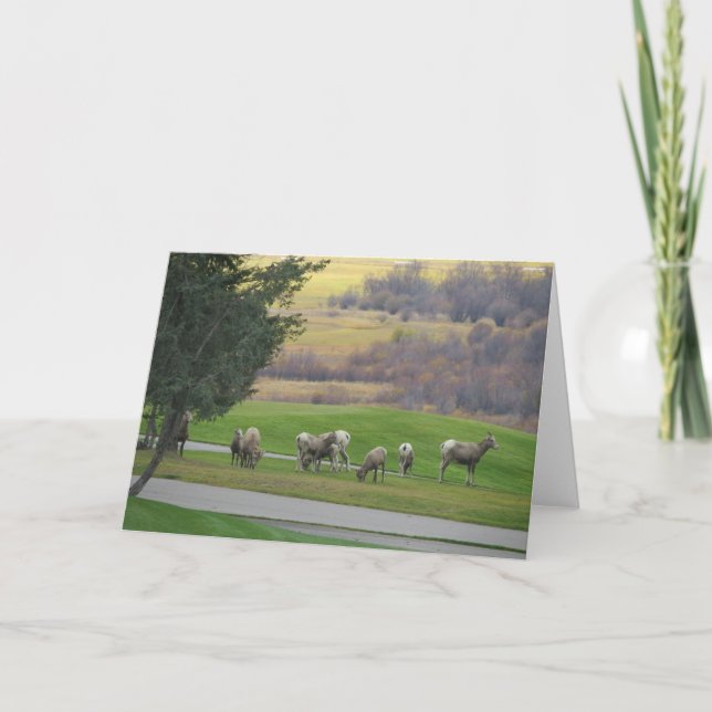 Carte Grazing in Autumn Greeting Card (Devant)