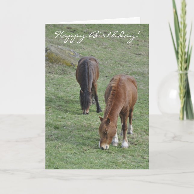 Carte Grazing Welsh (Devant)