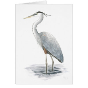 Carte Great Blue Heron