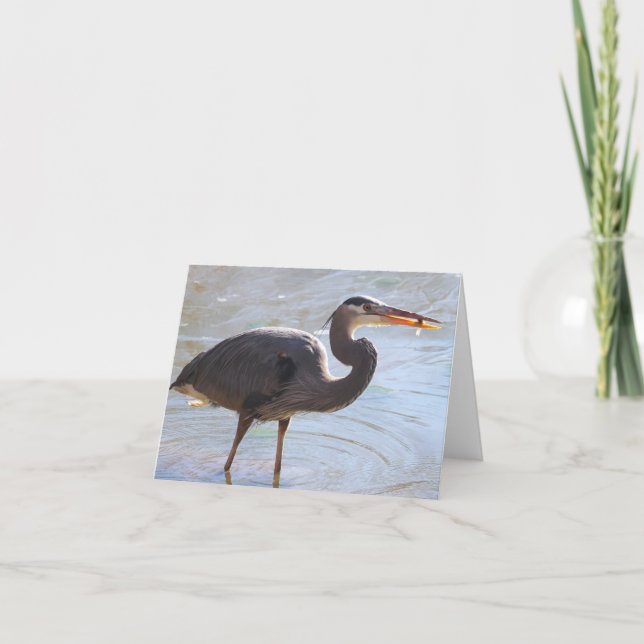 Carte Great Blue Heron Notecard - Blank Inside (Devant)