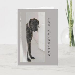 Carte Great Dane Pet Chien Humour Félicitations Grad