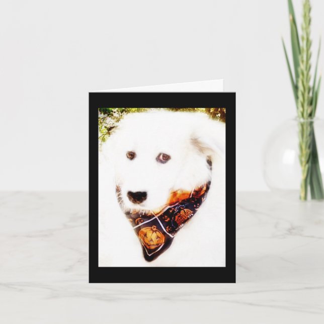 Carte Great Pyr Halloween (Devant)