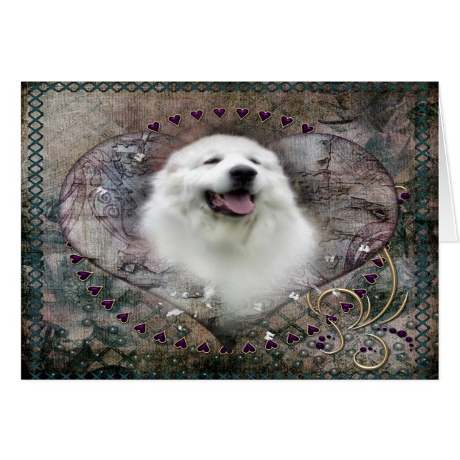 Carte Great Pyrenees - "Beautiful Benny" (Devant horizontal)