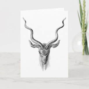 Carte Greater Kudu
