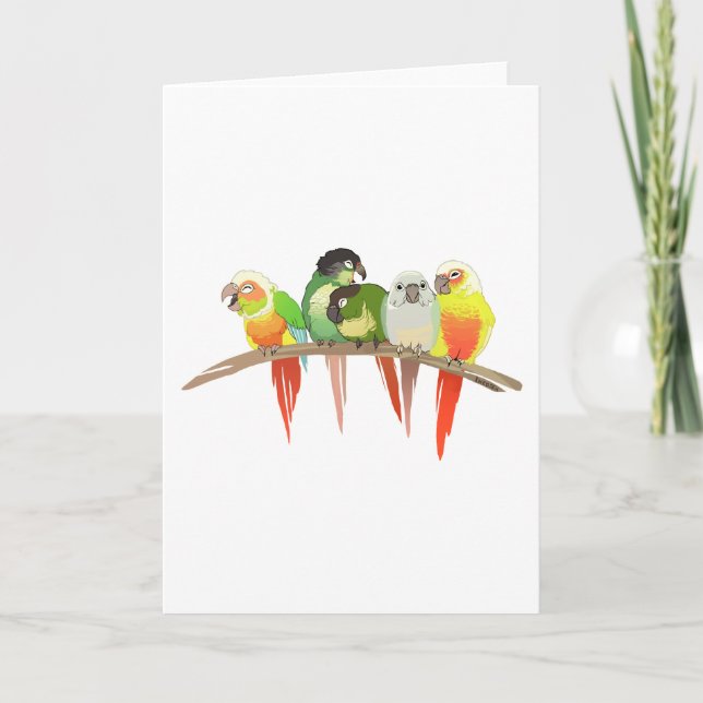 Carte Green Cheek Conures (Devant)