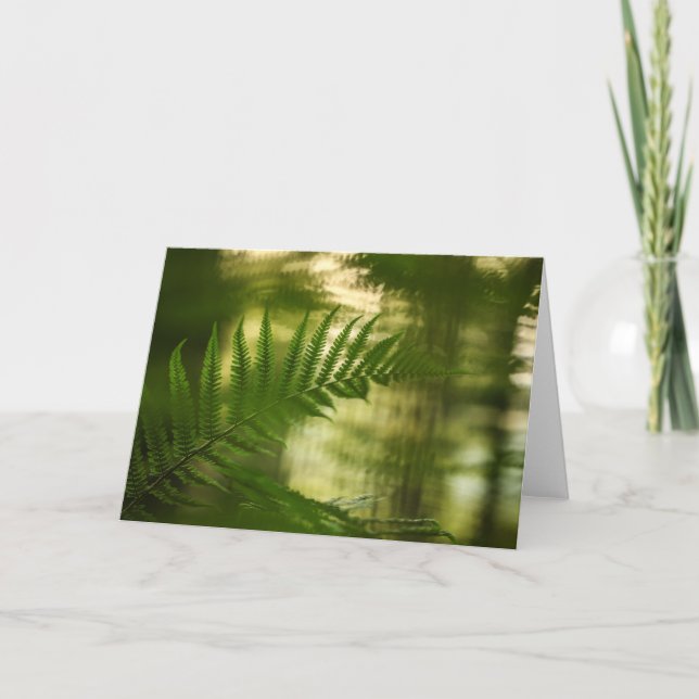 Carte Green Fern Frond Nature Photo (Devant)