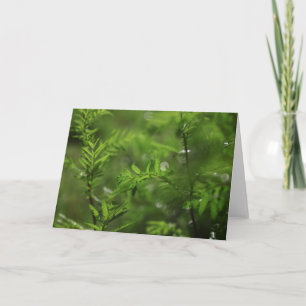 Carte Green Floral Common Tansy Nature Photo