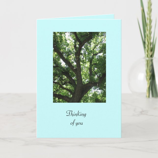 Carte Green Tree Get Well Card (Devant)
