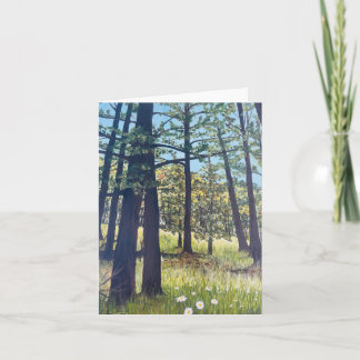 Carte Greer, Arizona; Randonnée dans la forêt