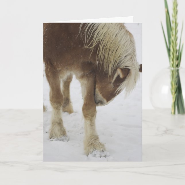 Carte Greeting Card (Devant)