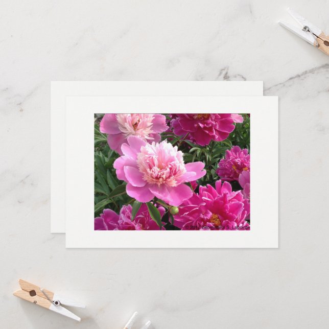 Carte Greeting card with beautiful peonies (Devant/Arrière en situation)