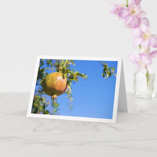 Carte Grenade sur l'arbre, portrait de ciel bleu (Orchidée)