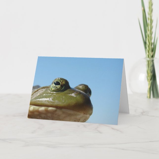 Carte Grenouille (Devant)