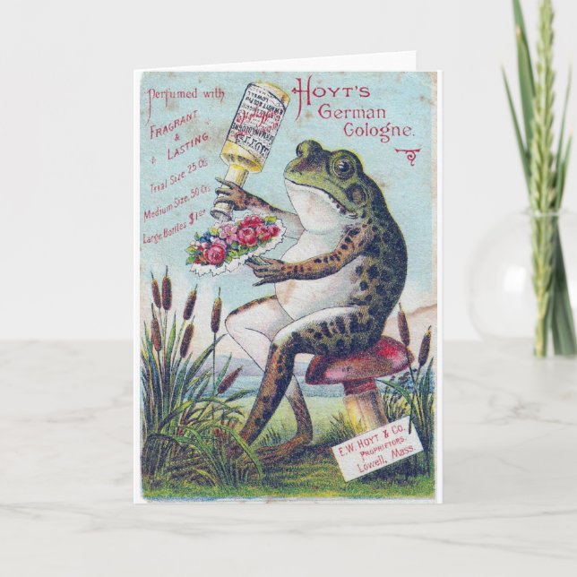 Carte Grenouille allemande de Hoyt à Cologne (Devant)