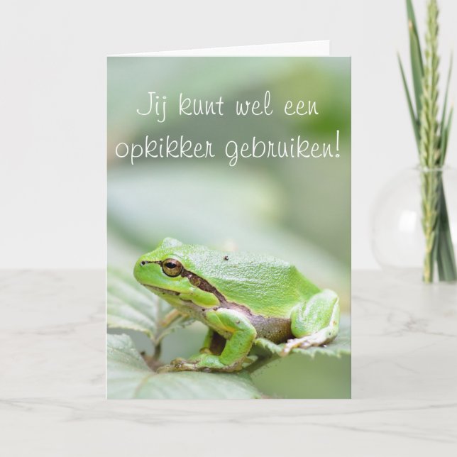 Carte Grenouille arborescente avec le texte "Opkikker" (Devant)