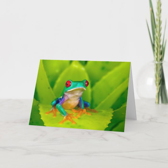 Carte Grenouille aux yeux rouges, Costa Rica (Devant)