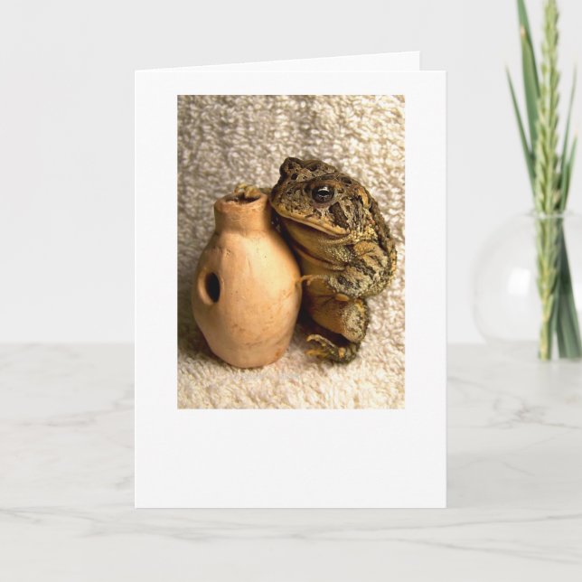 Carte Grenouille crapaud tenant une photo miniature de l (Devant)