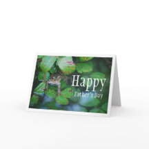 Grenouille dans Portrait de l'étang à feuilles