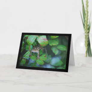 Carte Grenouille dans un étang feuillu