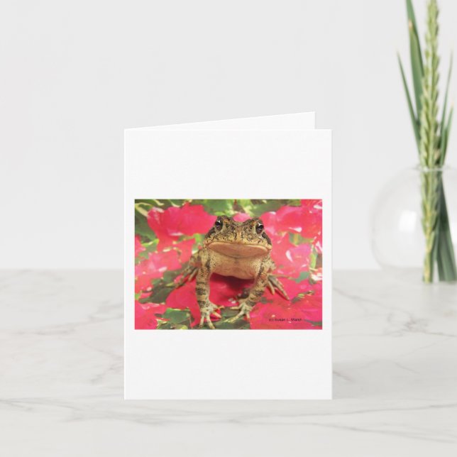 Carte Grenouille de crapaud se levant contre le dos de (Devant)