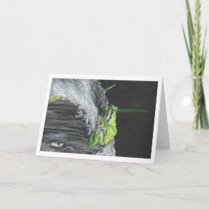 Carte "Grenouille de Humboldt" par Larsen ambre