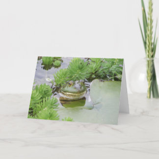 Carte Grenouille en étang