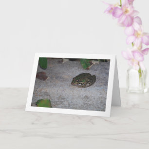 Carte Grenouille ibérique