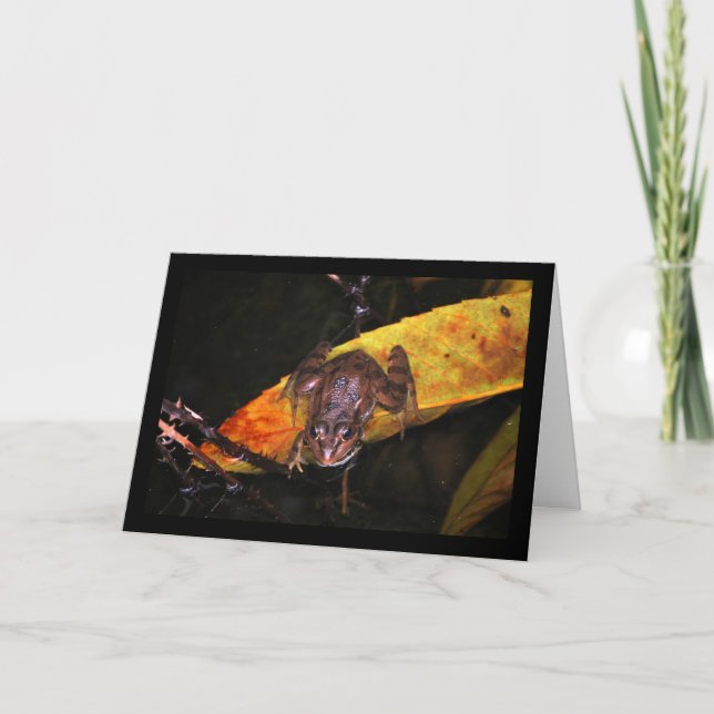 Carte Grenouille Ibérique sur une feuille (Devant)