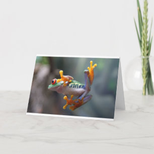 Carte Grenouille par John Remar Jr.