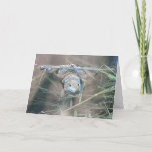 Carte Grenouille/Prière