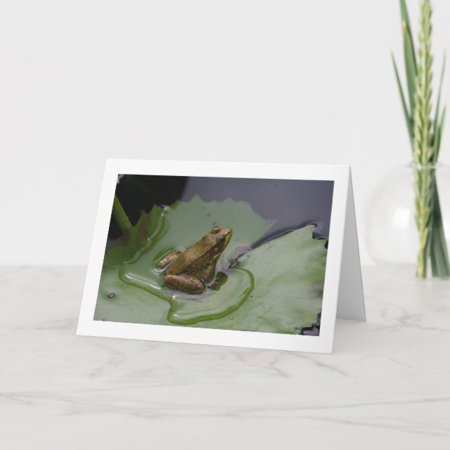 Carte Grenouille sur la protection de lis (Devant)