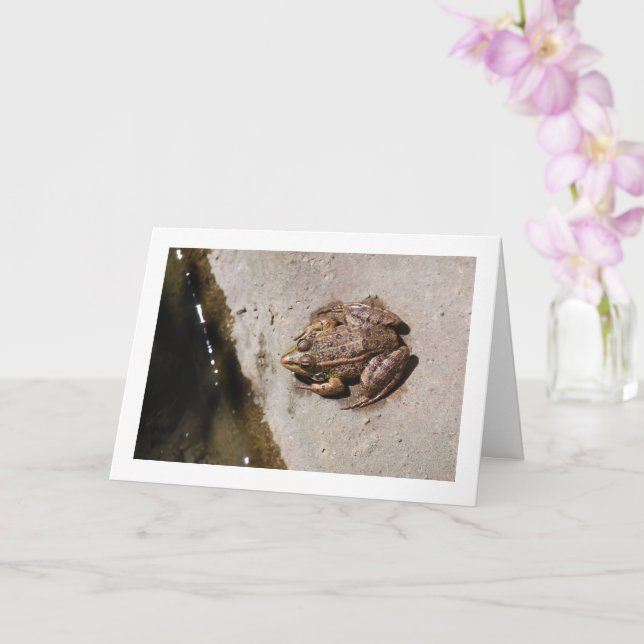 Carte Grenouille sur une haie (Orchidée)