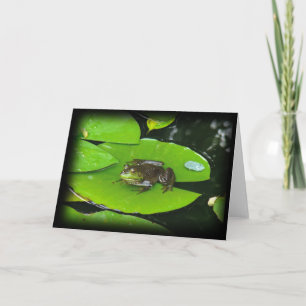Carte Grenouille taureau sur Lilypads