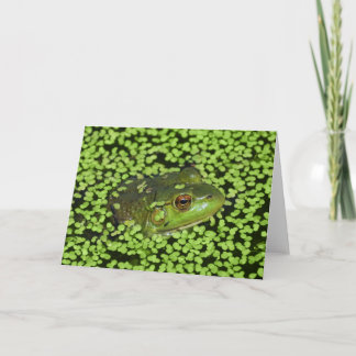 Carte Grenouille verte