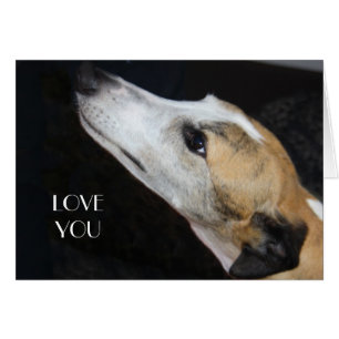 Carte Greyhound Love You